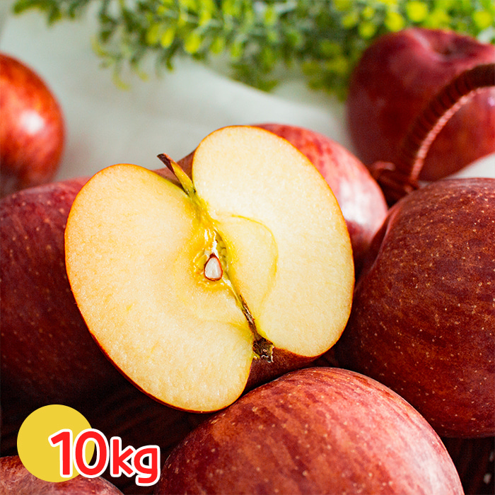 국내산 햇 부사 사과 가정용/실속형 꿀사과 10kg